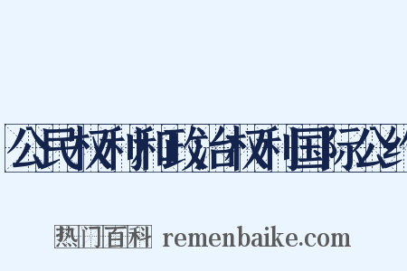 公民权利和政治权利国际公约是什么意思的图片
